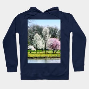 Spring - Line of Flowering Trees Hoodie